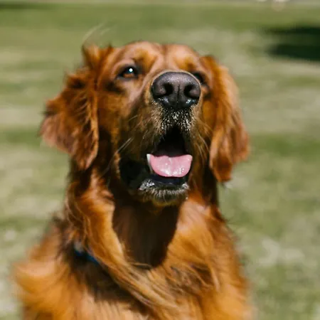 Vakantiehuis Casa Lula 2 Pendueles Ar-685-as Llanes